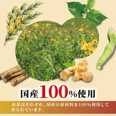 国産健康茶　飲み比べ4点セット【合計160包】