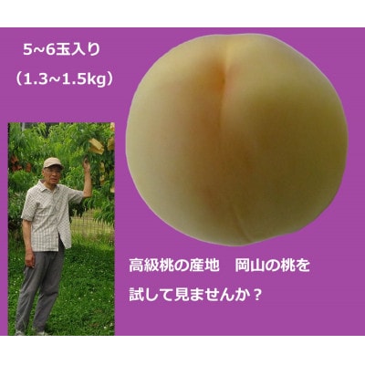 【先行予約】【2025年6月中旬より順次発送予定】生産者直送　岡山の白桃(万と美桃園　ふるさと納税)