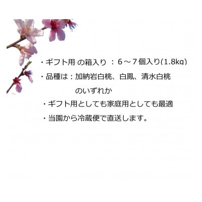 【2026年先行予約】　岡山の桃 6～7個入り 　　万と美桃園　