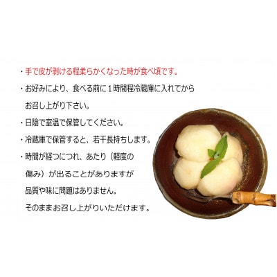 【2026年先行予約】　岡山の桃 6～7個入り 　　万と美桃園　