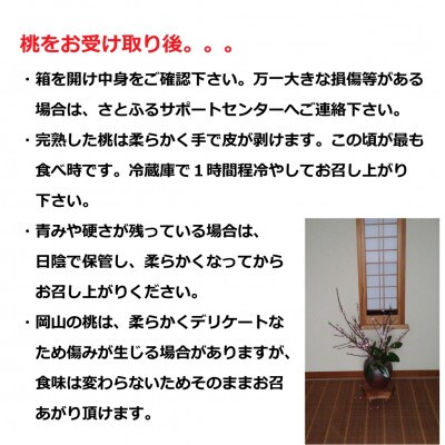 【先行予約】【2025年6月中旬より順次発送予定】生産者直送　岡山の白桃(万と美桃園　ふるさと納税)