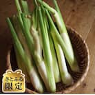 【さとふる限定】岡山県産 まこもだけ 1kg 高級食材 栄養満点 健康野菜
