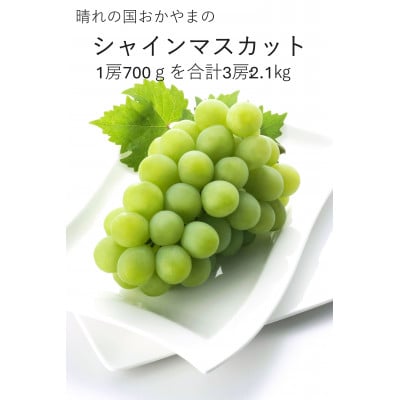 岡山県産シャインマスカット3房合計2.1kg