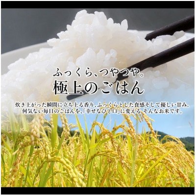 岡山市産 きぬむすめ 5キロ