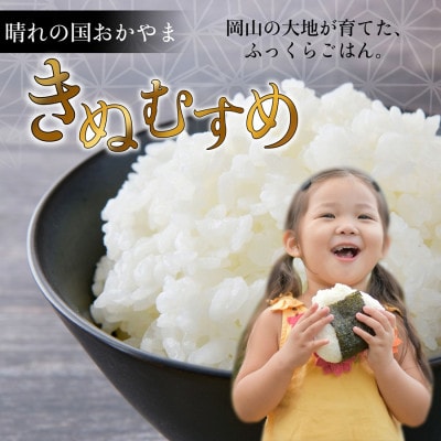 岡山市産 きぬむすめ 5キロ