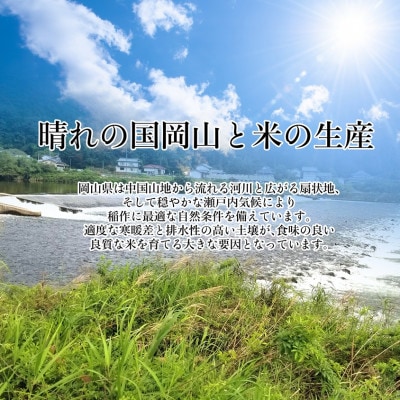 岡山市産 きぬむすめ 5キロ