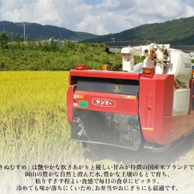 岡山市産 きぬむすめ 5キロ