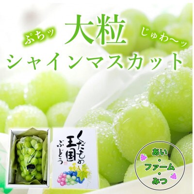 シャインマスカット1房箱 650グラム以上大房