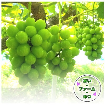 シャインマスカット1房箱 650グラム以上大房