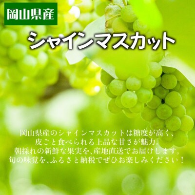 シャインマスカット1房箱 650グラム以上大房