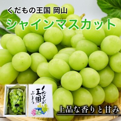シャインマスカット1房箱 650グラム以上大房