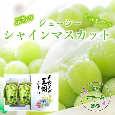 シャインマスカット2房箱(ご家庭用)