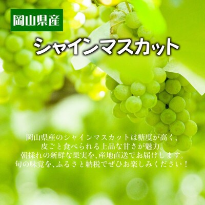 シャインマスカット2房箱(ご家庭用)
