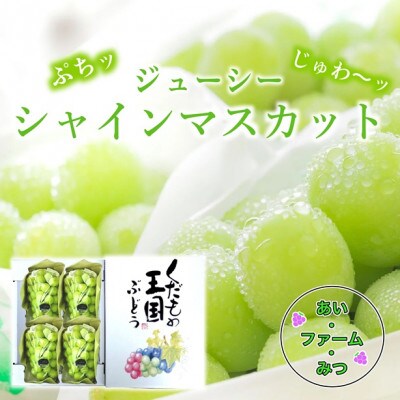 シャインマスカット4房箱(ご家庭用)