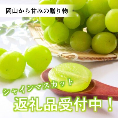 シャインマスカット4房箱(ご家庭用)