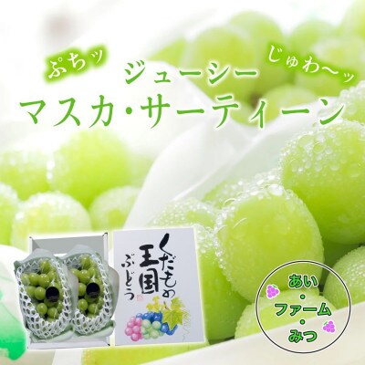 マスカ・サーティーン(新品種)　2房箱