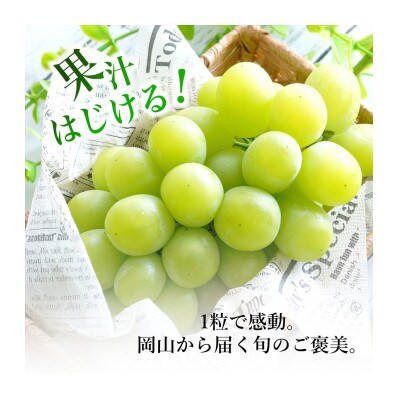 マスカ・サーティーン(新品種)　2房箱