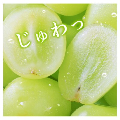 マスカ・サーティーン(新品種)　2房箱