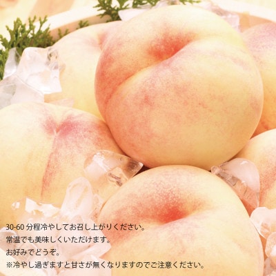 岡山 白鳳 ギフト 白桃 中玉 9-12玉入り 約1.5kg