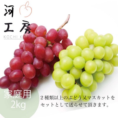 家庭用 マスカット ぶどう ミックス 約2kg 2種類以上の品種が入っています。