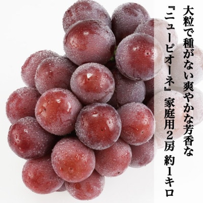 家庭用 ニューピオーネ 2房 約1kg 種なしブドウ 着色に難あり