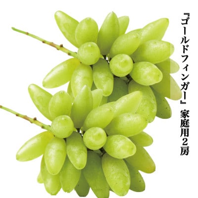 ゴールドフィンガー 約800g 2房 家庭用 希少 種なしぶどう