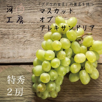 ギフト 特秀2房 マスカット・オブ・アレキサンドリア 約1kg 岡山県産 昔ながらの美味しいぶどう