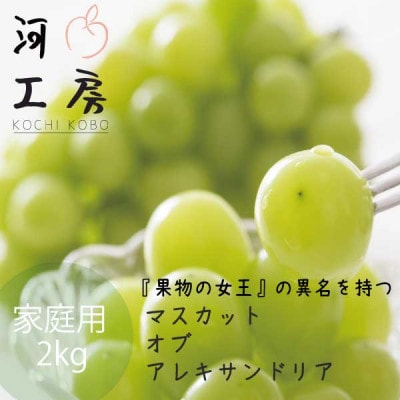 家庭用 マスカット・オブ・アレキサンドリア 約2kg 2-4房
