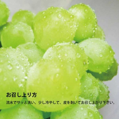 家庭用 マスカット・オブ・アレキサンドリア 約2kg 2-4房