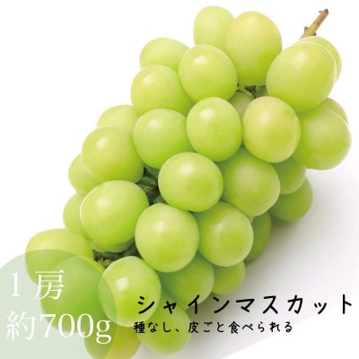 シャインマスカット ギフト 1房 約700g 種無し 皮ごと食べられる