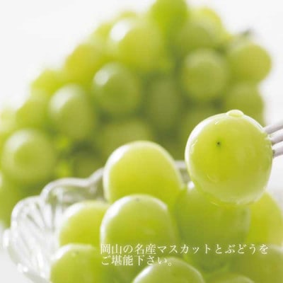シャインマスカット ギフト 1房 約700g 種無し 皮ごと食べられる