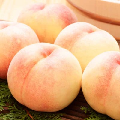 岡山 白鳳 ギフト 白桃 3玉入り 約800g