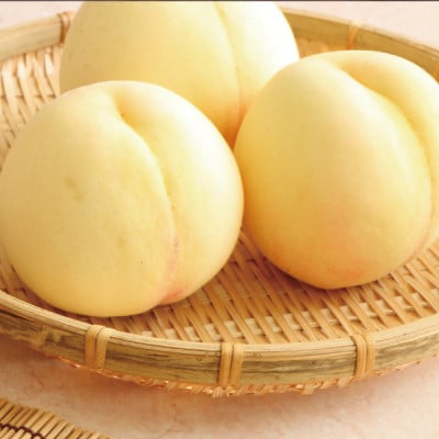 ギフト 清水白桃 3玉入り 約800g 名産品 岡山県岡山市富吉産