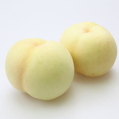 大和白桃 ギフト 3玉 約800g 岡山 希少 伝説の白桃