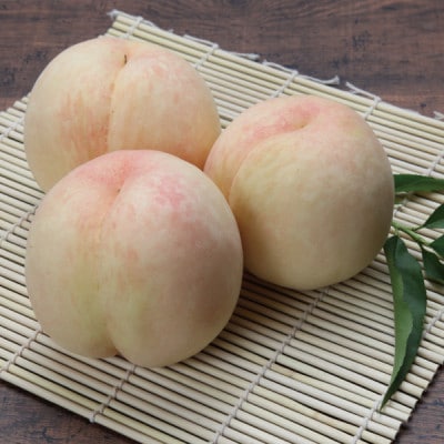 本白桃 ギフト 5-6玉入り 約1.5kg