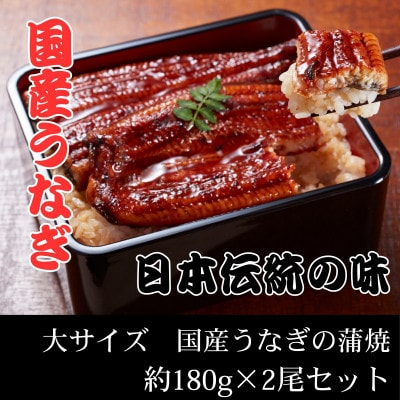 国産うなぎ蒲焼　真空冷蔵　大サイズ約180g×2尾セット