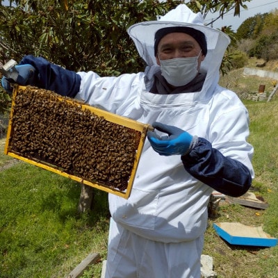 無添加非加熱の国産天然ハチミツ500g