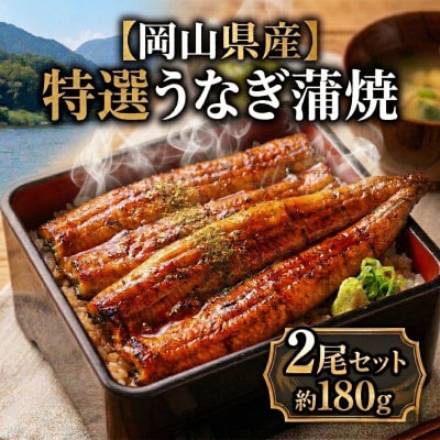 岡山県産うなぎ180g前後　2尾セット