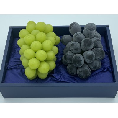 シャインマスカット1房&ニューピオーネ又はオーロラブラック1房(1房500g前後)