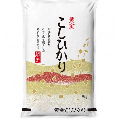 【毎月定期便】【食味鑑定士厳選】岡山県産 コシヒカリ 5kg×1袋全6回