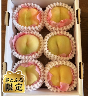 【さとふる限定】岡山名産白桃おまかせ　家庭用　1.5Kg(6個)