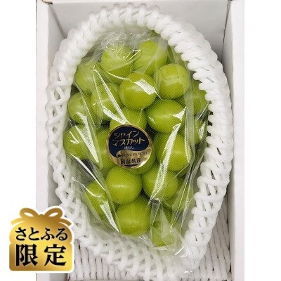 【さとふる限定】岡山県産『晴王』シャインマスカット1房入り