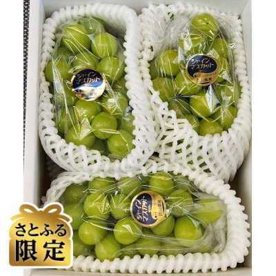 【さとふる限定】岡山県産『晴王』シャインマスカット3房入り