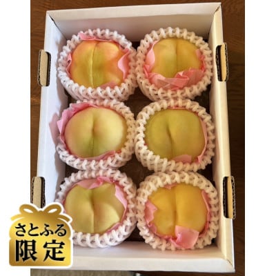 【さとふる限定】岡山名産白桃おまかせ進物用1.5Kg(6個)