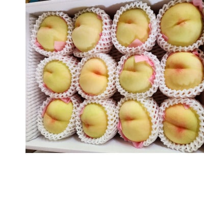 岡山名産白桃おまかせ家庭用4Kg(11～15玉)