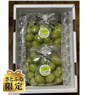 【さとふる限定】岡山県産『晴王』シャインマスカット袋詰め