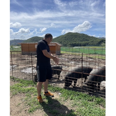 岡山市北区御津で育てた、こだわりの放牧豚　石毛おうち牧場　全部セット(9種類)