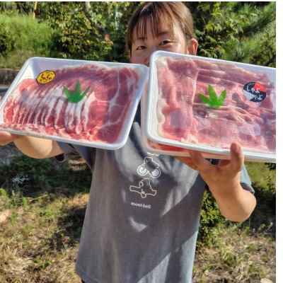 岡山市北区御津で育てた、こだわりの放牧豚　石毛おうち牧場　全部セット(9種類)