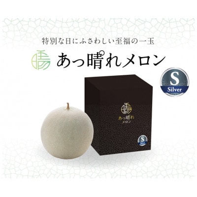 【2026年7月～順次発送】【シルバー】あっ晴れメロン