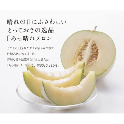 【2026年7月～順次発送】【シルバー】あっ晴れメロン